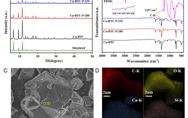 PNAS: 具有配位不饱和Cu（I）位点的表面疏水性Cu-BTC催化剂用于甲烷直接氧化
