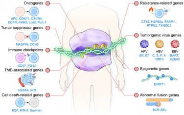 Adv. Mater综述：工程纳米材料增强CRISPR/Cas9基因编辑以用于癌症治疗