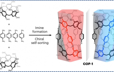 Nature Synthesis: 具有精确长度、直径和手性的共价有机柱分子纳米管的合成