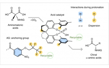 Nature Chemistry：氨基丙二酸不对称脱羧质子化合成氨基酸的模块化和多样化