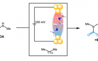 JACS：电场增强有机胺酰基化反应