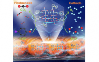 JACS: 钛氧簇合物功能重整实现 4-氯苯酚的高效光电催化降解