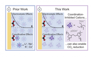JACS：弱配位有机阳离子本质上用于二氧化碳还原催化作用