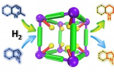 JACS：将受阻路易斯对引入金属有机框架中，用于 N 杂环的选择性加氢