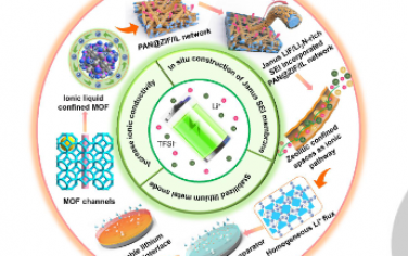 Angew：通过在离子液体限制的 3D MOF/聚合物膜中原位生成的 Janus 异质富 LiF SEI 稳定固态锂金属电池