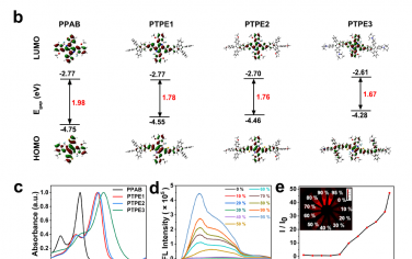 Biomaterials：吡咯并吡咯偶氮杂-BODIPY基NIR-II荧光团用于可视化体内动态血管功能障碍