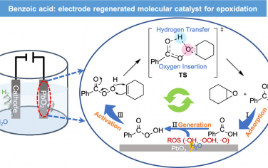 JACS：电化学将苯甲酸转化为可再生氧化剂催化烯烃环氧化