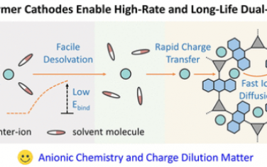 ACS Nano：揭示电荷稀释和阴离子化学在双离子电池高倍率 p 型聚合物阴极中的作用