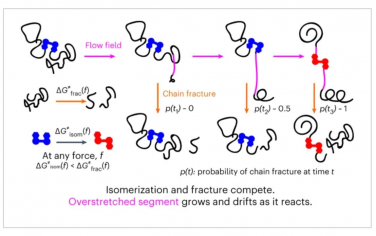 Nature Chemistry：流动诱导聚合物机械化学分子条件的实验定量分析