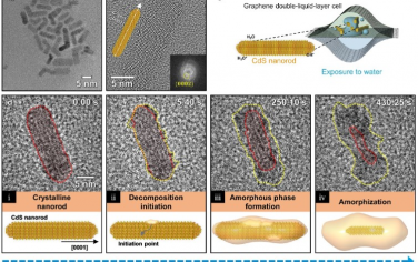 ACS Nano：通过无定型中间体实现湿度诱导降解量子尺寸级半导体纳米晶