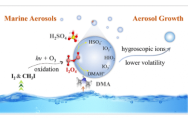 JACS: I2O4在空气-水界面快速反应吸收的化学意义