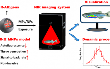 ACS Nano：对鱼体内微/纳米塑料进行NIR-II可视化成像和定量示踪
