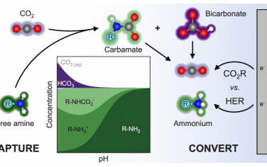 ACS Catal：有机胺介导CO2电催化还原的活性物种