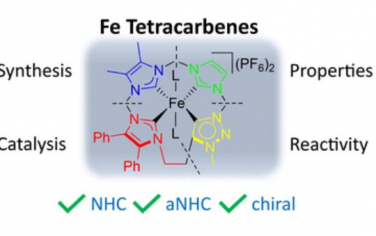 Chem. Soc. Rev. 环铁四氮杂环碳烯：合成、性质、反应性和催化