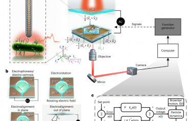 Nature Nanotechnology：控制纳米线生物探针的三维运动的微动力学