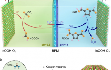 Nature Commun：修饰氧缺陷的InOOH双功能电催化生物质提质和CO2还原