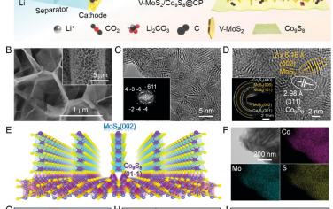 PNAS: 设计具有高度暴露活性位点的MoS2/Co9S8双向催化剂界面取向用于可逆Li-CO2电池
