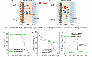 EES: MEA电解槽中Ni-N-C催化剂上碳高效CO2电解的酸性微环境