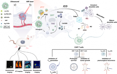 ACS Nano：NIR-II荧光纳米催化剂可通过免疫重编程增强CAR-T细胞治疗实体瘤的效率