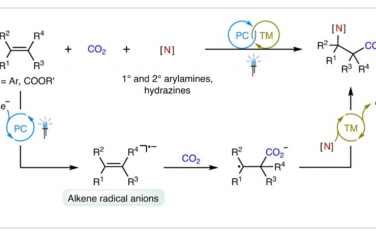 Nature Catalysis：金属催化氧化使烯烃与CO2进行氨基羧化