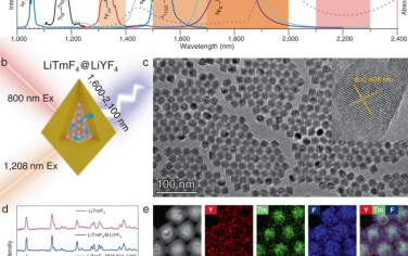 Nature Communications：基于明亮Tm3+的工作于~1800 nm的减频发光纳米探针用于NIR-IIb和c生物成像