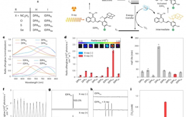 Nature Materials：癌症放射动力学治疗的分子余辉探针