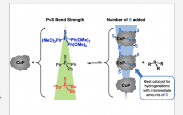 JACS：硫调加氢催化磷化钴的可控表面改性