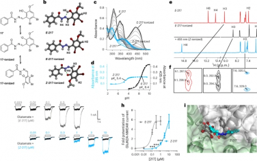 Nature Chemistry：由光或硫醇引发的生物活性酰基腙的异构化