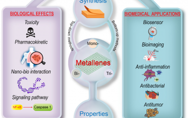 Chem. Soc. Rev：新兴的金属烯材料的合成策略、生物效应和生物医学应用