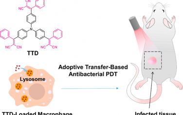 ACS Nano：靶向溶酶体的AIE纳米颗粒用于实现基于巨噬细胞过继转移的细菌感染治疗