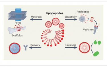 Nature Reviews Chemistry：脂肽作为催化、超分子、材料和药物化学的工具