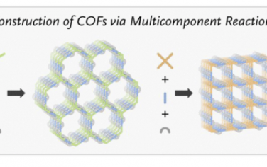 JACS: 通过多组分反应构建共价有机框架