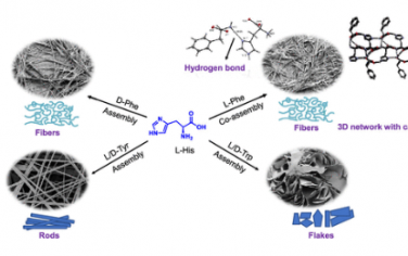 ACS Nano：L-组氨酸和 L-苯丙氨酸的熵驱动共组装形成超分子材料