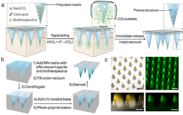 Advanced Materials：超速效微针可实现生物药剂的即时递送