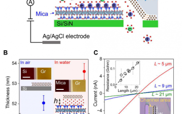 Science Advances：表面扩散增强离子在二维纳米通道中的输运