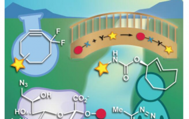 Chem：生物正交化学：连接化学、生物学和医学