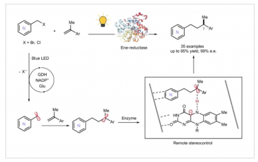 Nature Chemistry：通过酶促氢原子转移实现氮杂芳烃的远程立体控制