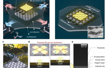 Nat Commun：用于可拉伸 OLED 的 3D 高度交替岛阵列，具有高有效面积比和最大应变