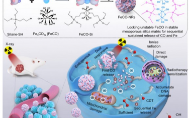 Biomaterials：超稳定杂化纳米储层的X射线可控释放一氧化碳可增强放射治疗