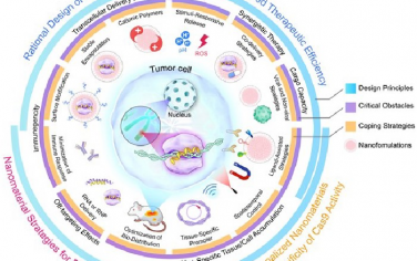 Advanced Materials综述：可强化癌症治疗效果的纳米材料基CRISPR/Cas9基因编辑技术