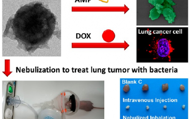 ACS Nano：可吸入的GSH触发型纳米颗粒用于治疗原位肺肿瘤的共生细菌感染