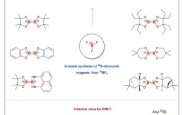 Chem：10BF3合成富集10B二硼试剂