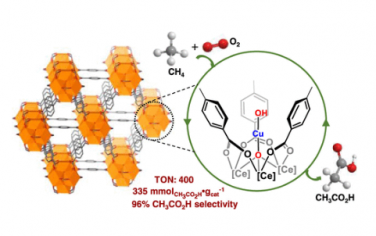 JACS: 在单羟基铜催化剂上使用分子氧将甲烷选择性氧化成乙酸