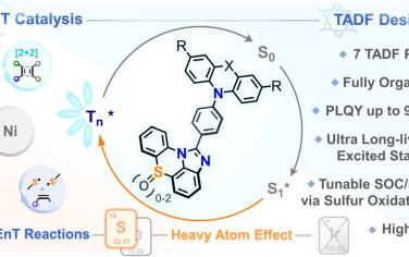 JACS：发展超长寿命有机染料EnT光催化剂