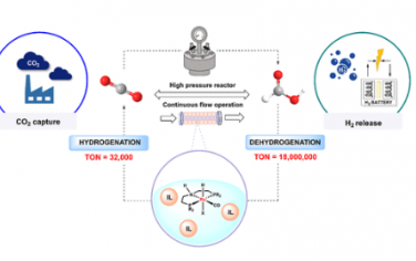 JACS：Ru-PNP/离子液体系统的多功能 CO2 加氢-脱氢催化