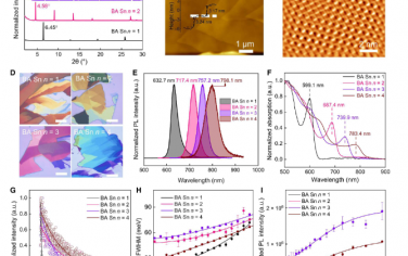 Science advances：用于稳定激光的相纯2D卤化锡钙钛矿薄片