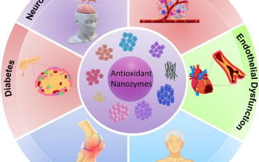 Angew综述：抗氧化和促氧化纳米酶用于调节细胞氧化还原和治疗疾病