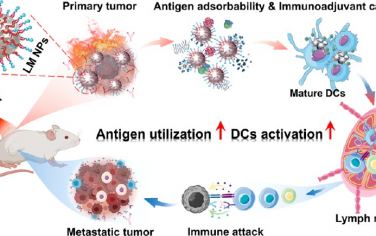 ACS Nano：基于液态金属纳米平台的自体癌症疫苗