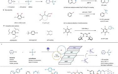 厦门大学Nature Commun：可见光催化苯和脂肪烃的选择性C(sp2)-H/C(sp3)-H交叉偶联
