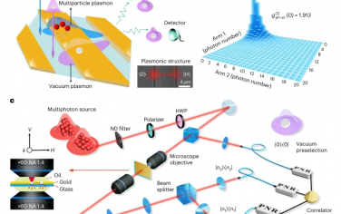 Nature Physics：表面等离子体的非经典近场动力学